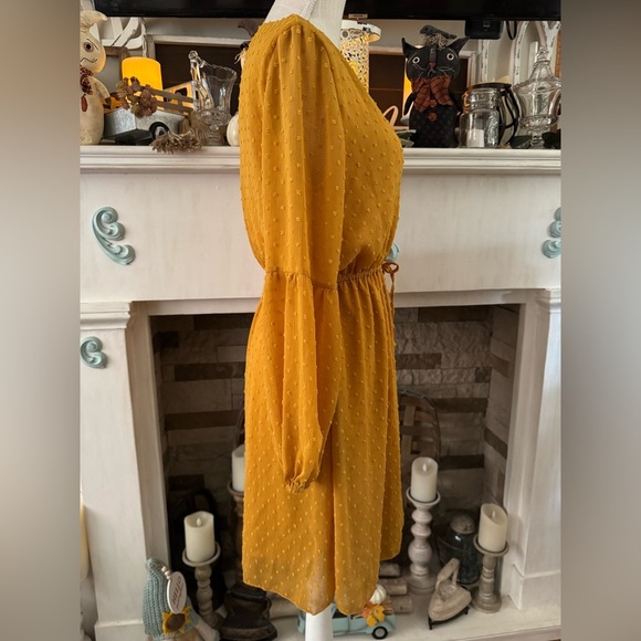 Bailey’s Blossoms mustard color polka dot sheer/bubble sleeve dress Size M - Picture 3 of 5